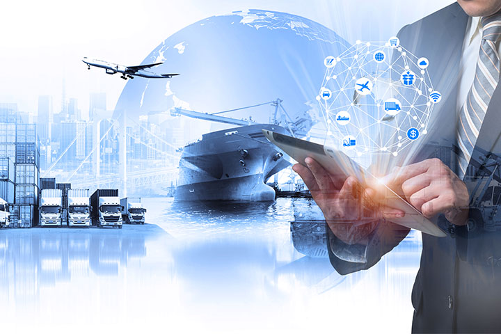 the established logistic network
